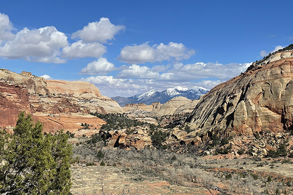Capitol Reef National Park